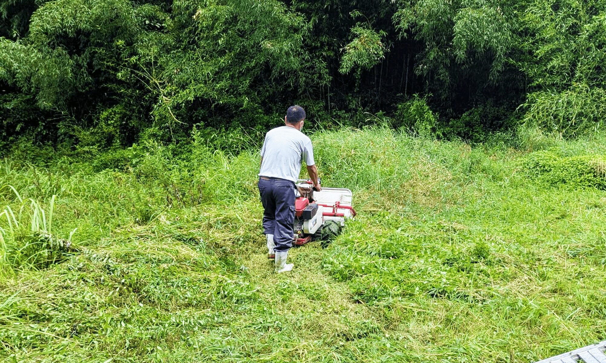 1日目「田んぼプロジェクト始動！」